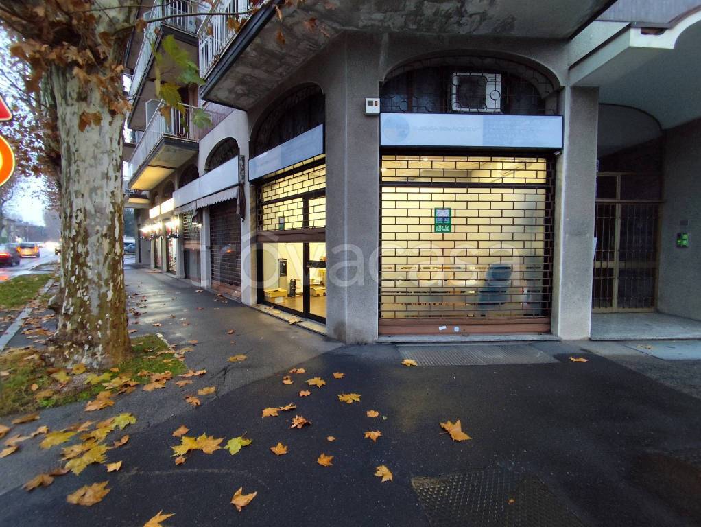 immagine annuncio 3 di 14