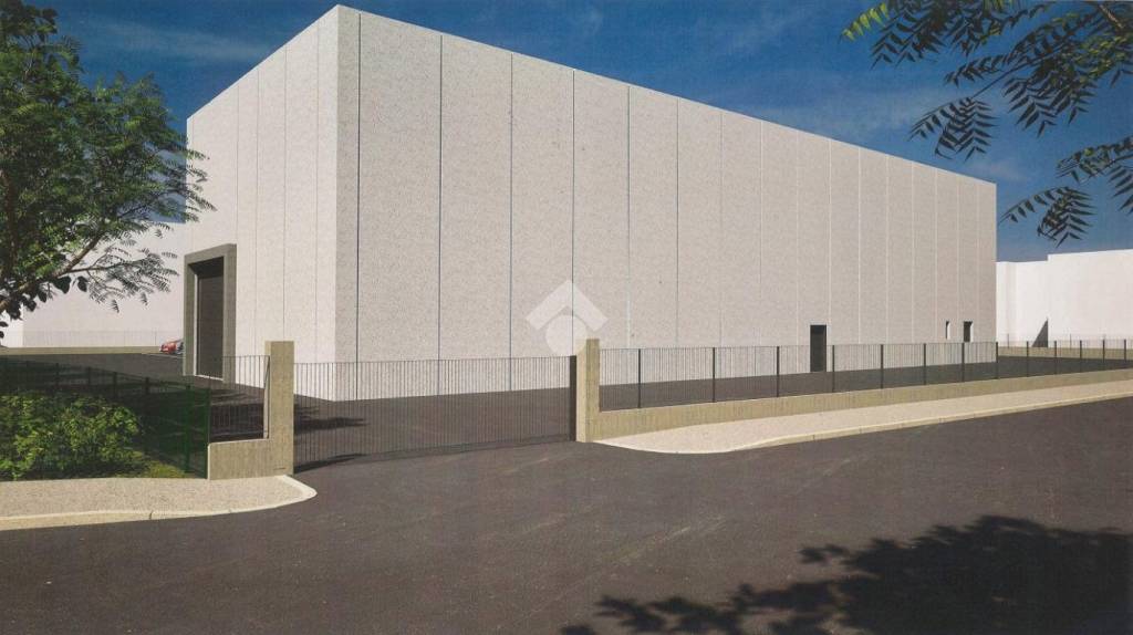 immagine annuncio 2 di 9