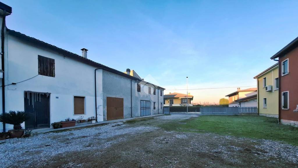 immagine annuncio 4 di 8