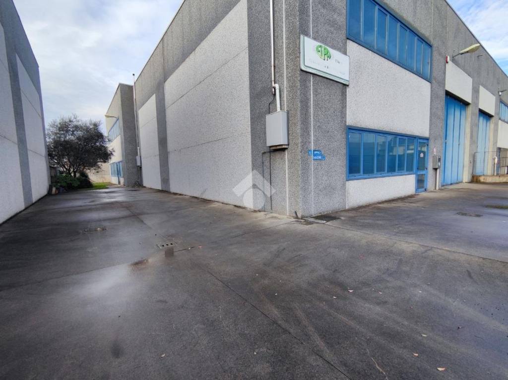 immagine annuncio 3 di 15