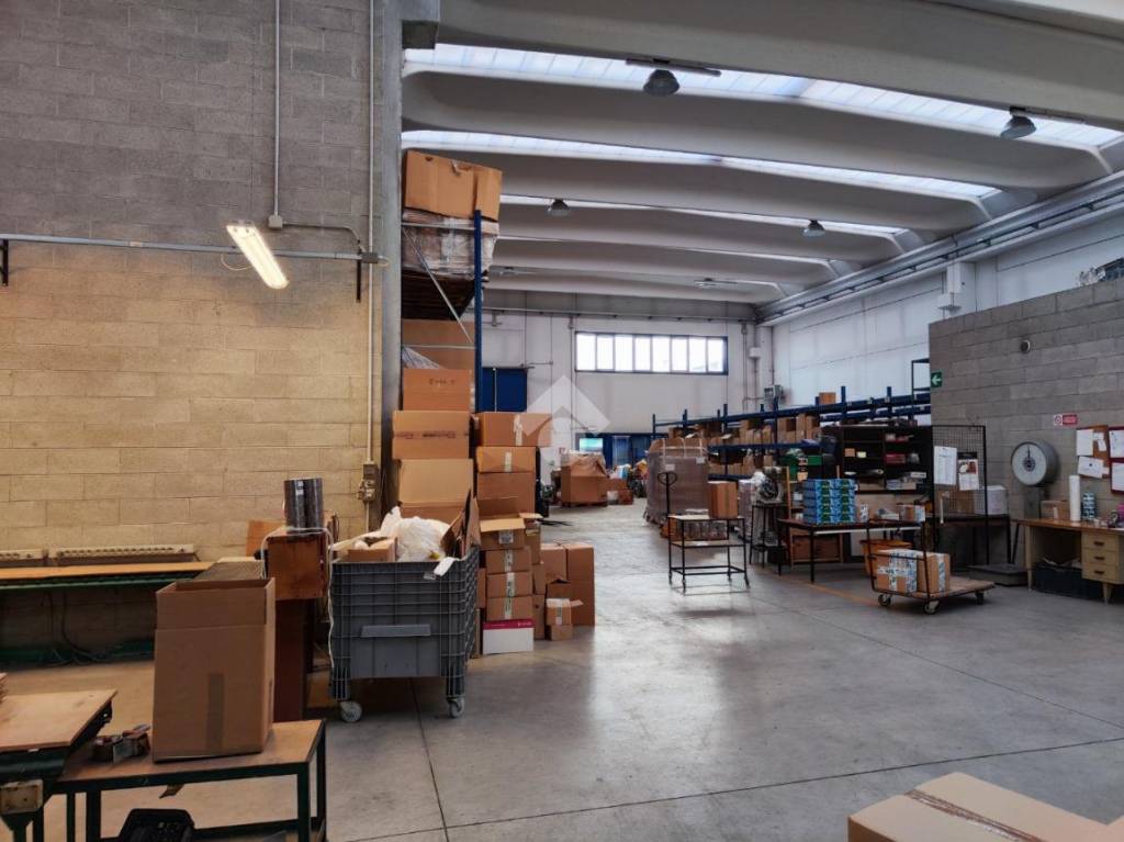 immagine annuncio 6 di 15