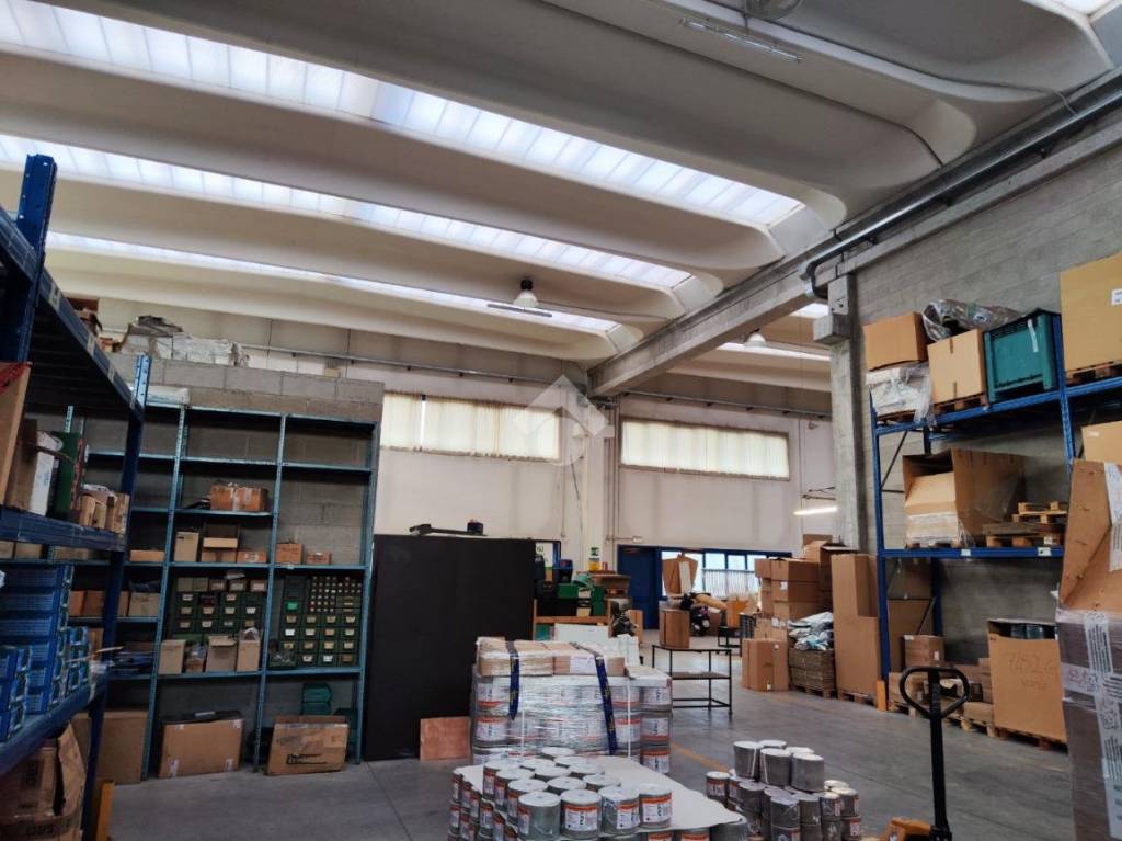 immagine annuncio 8 di 15