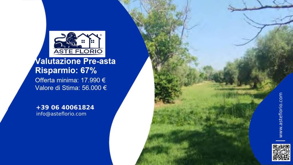 immagine annuncio 1 di 11