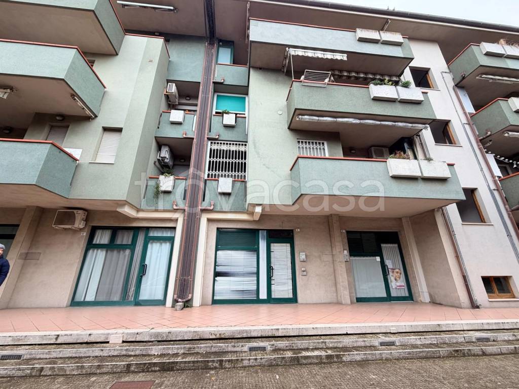 immagine annuncio 3 di 14