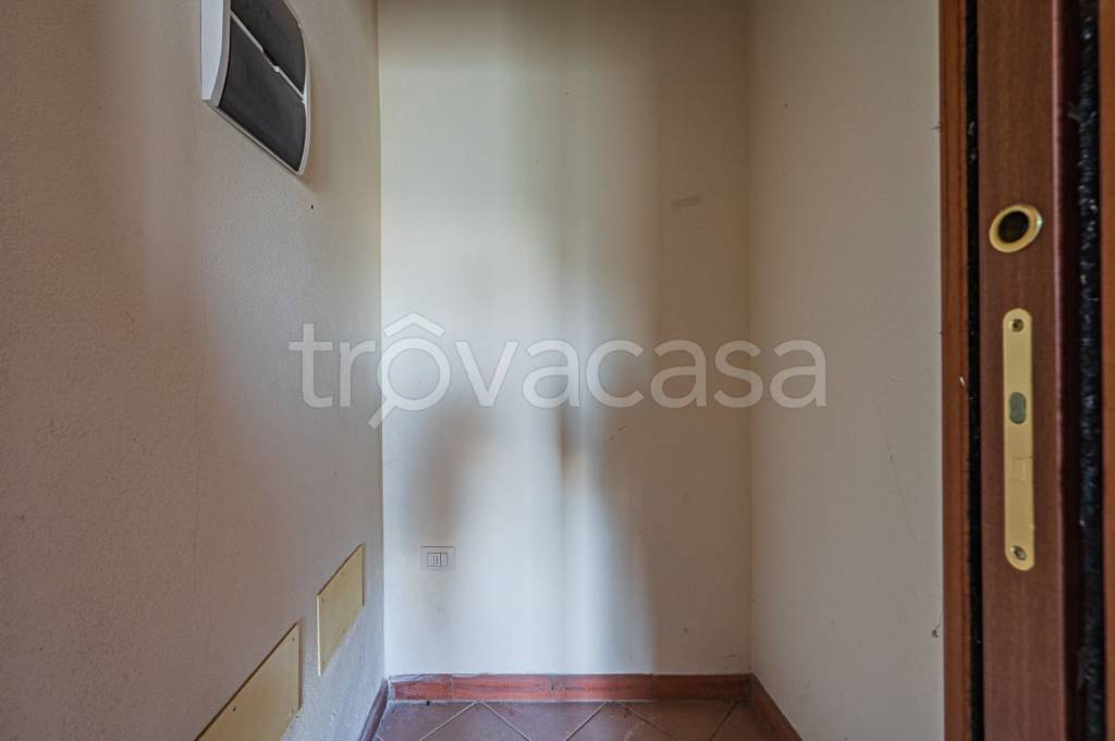 immagine annuncio 10 di 14