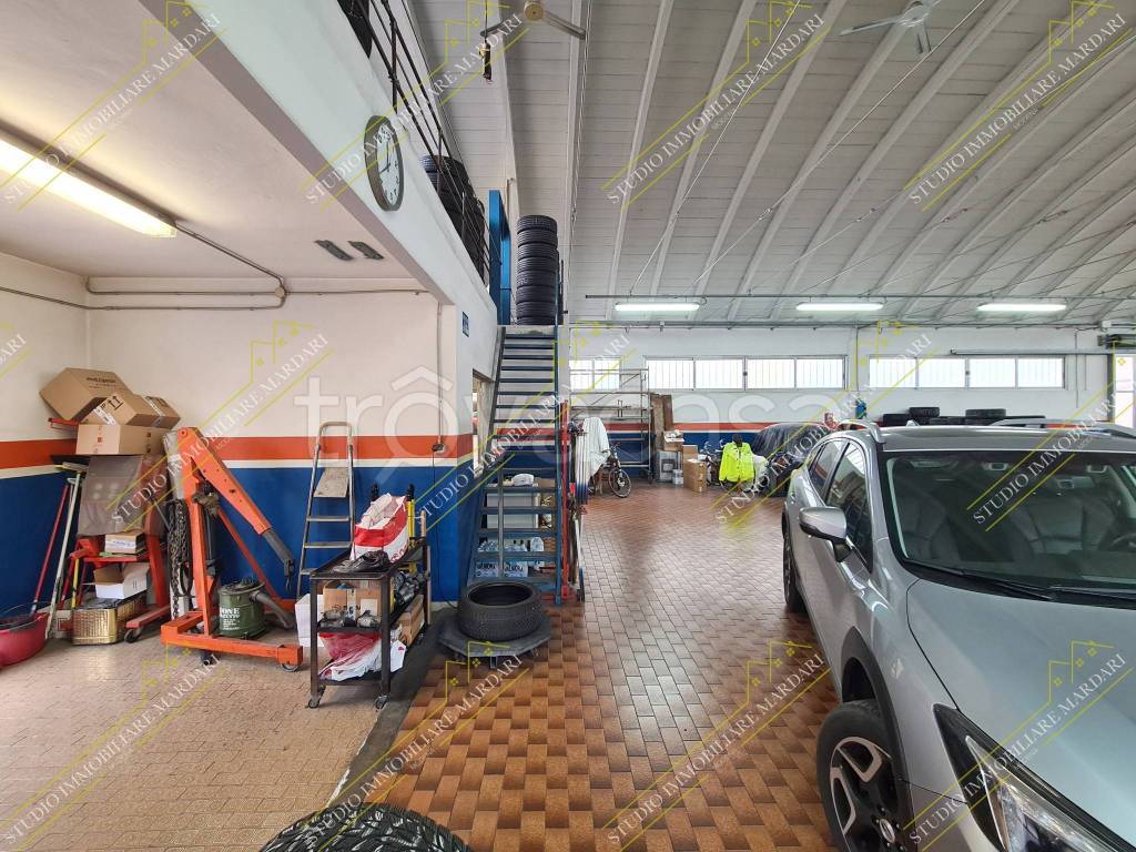 immagine annuncio 12 di 15