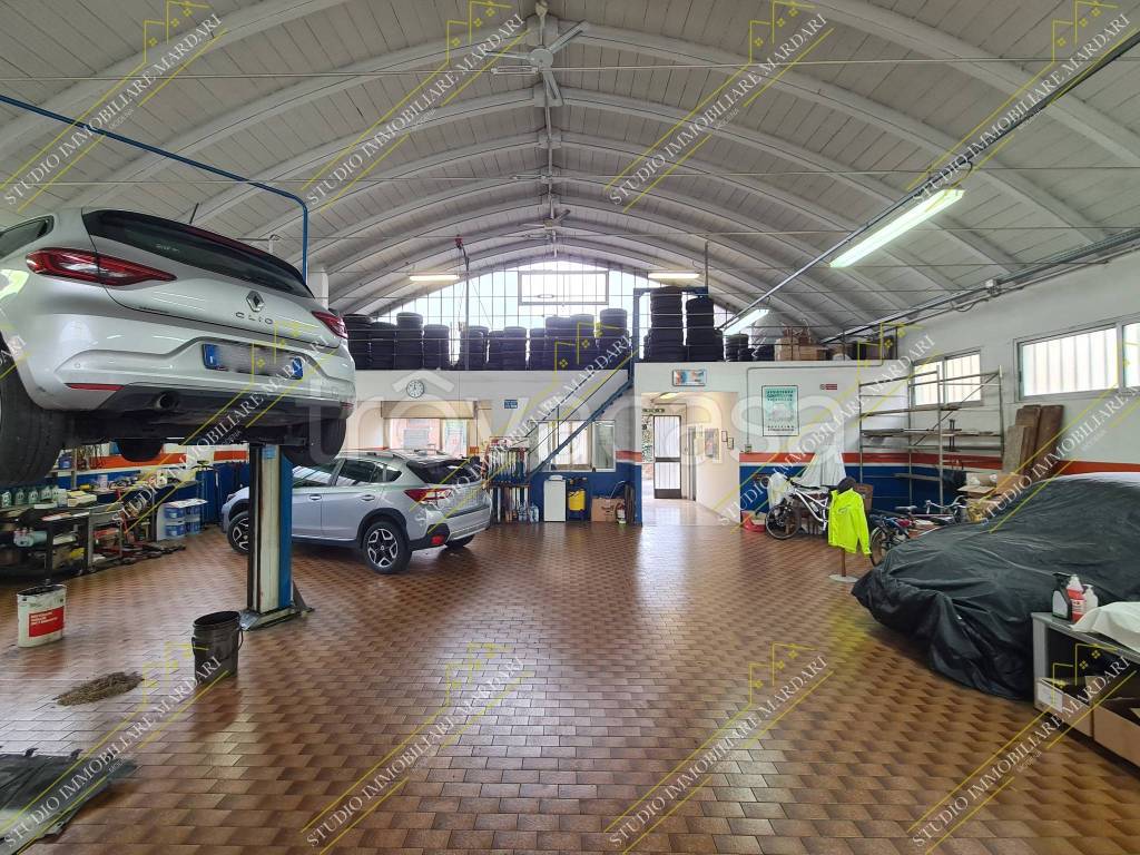 immagine annuncio 10 di 15