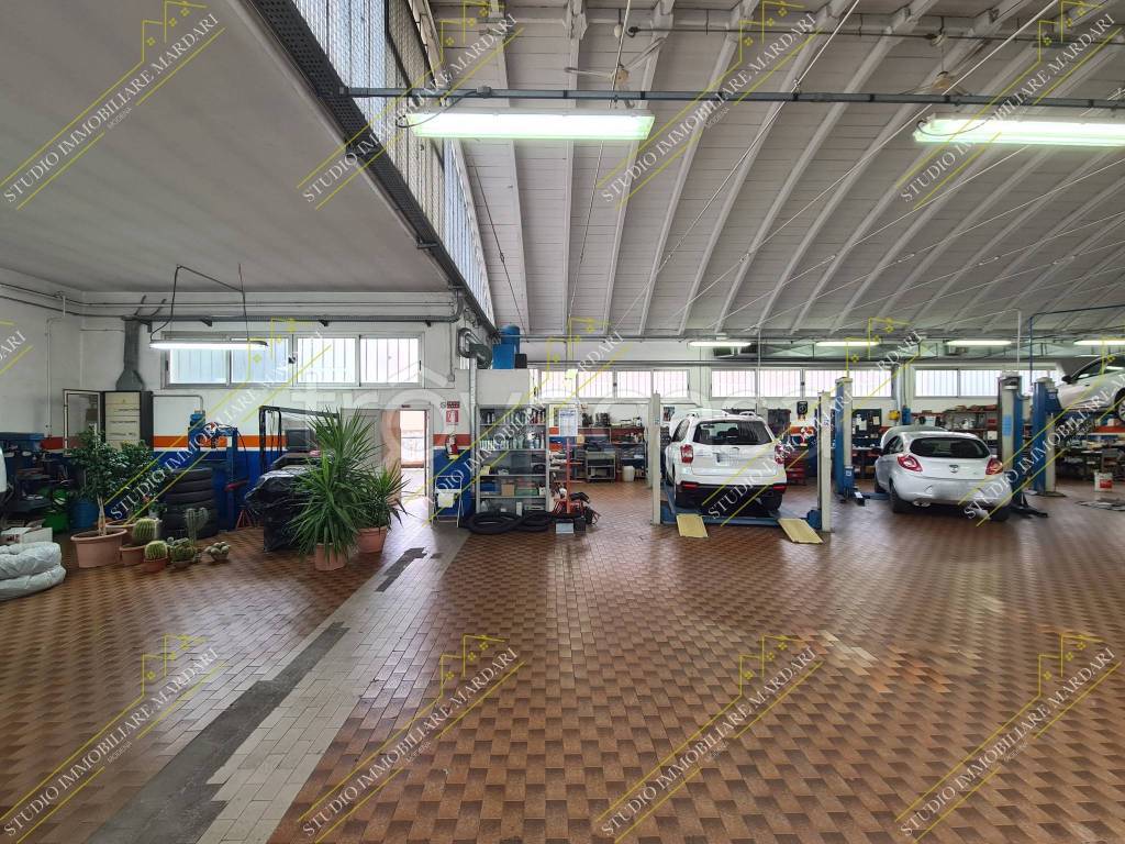 immagine annuncio 5 di 15