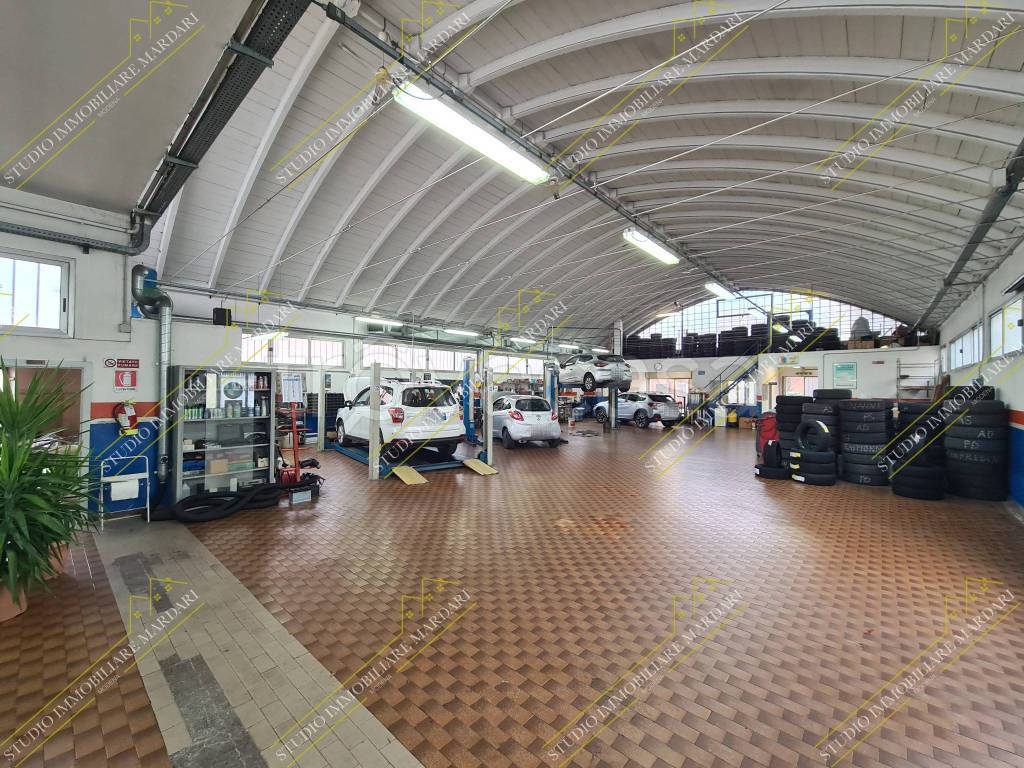 immagine annuncio 9 di 15