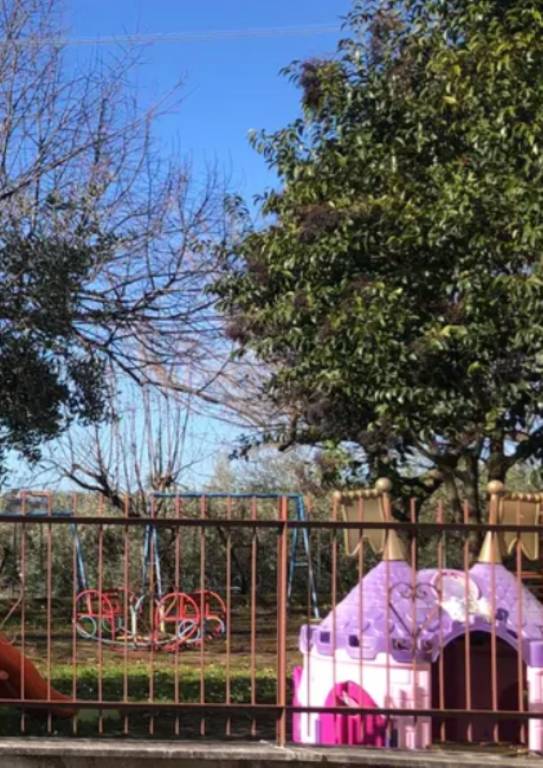 immagine annuncio 1 di 14