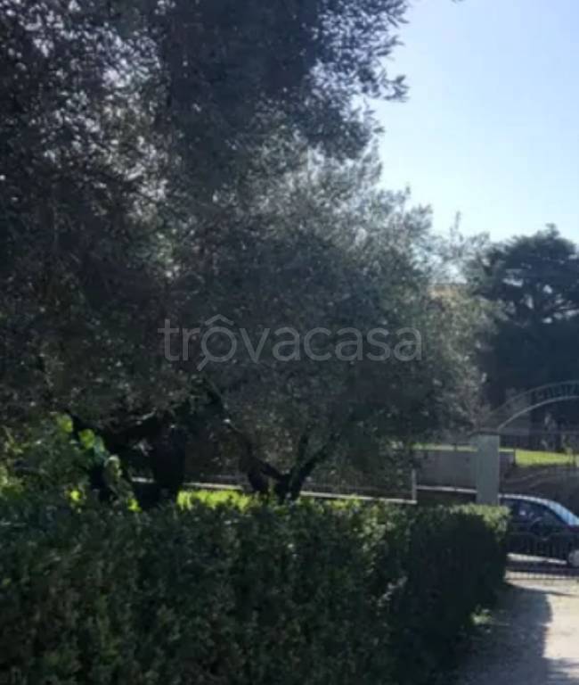 immagine annuncio 4 di 13