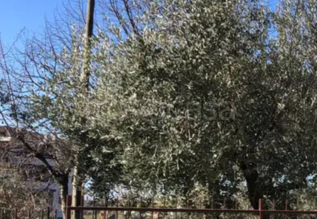 immagine annuncio 7 di 13