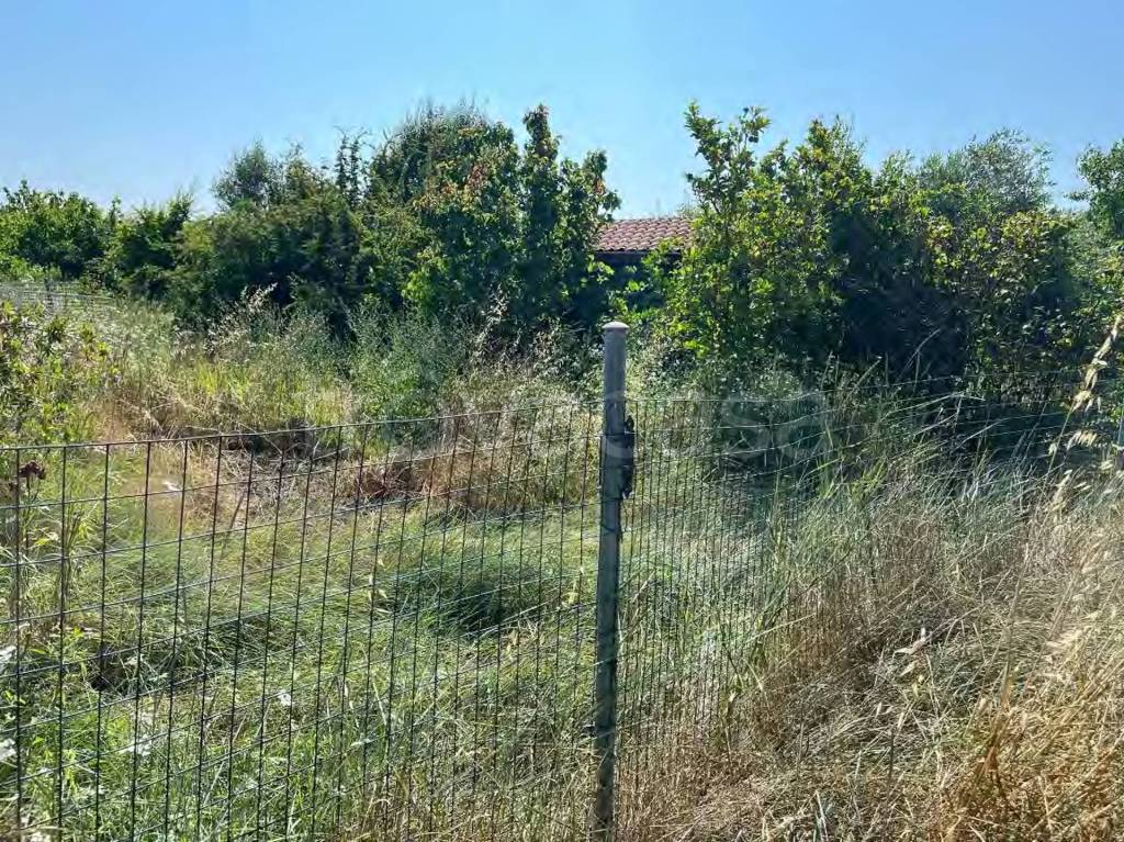 immagine annuncio 2 di 11