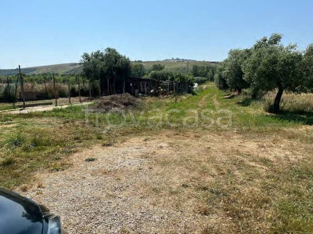 immagine annuncio 7 di 11