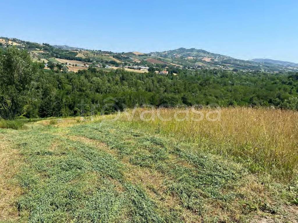 immagine annuncio 8 di 11