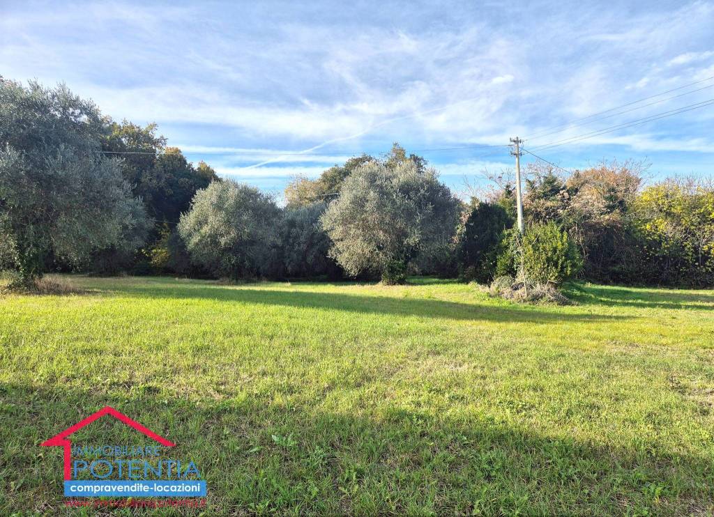 immagine annuncio 2 di 8