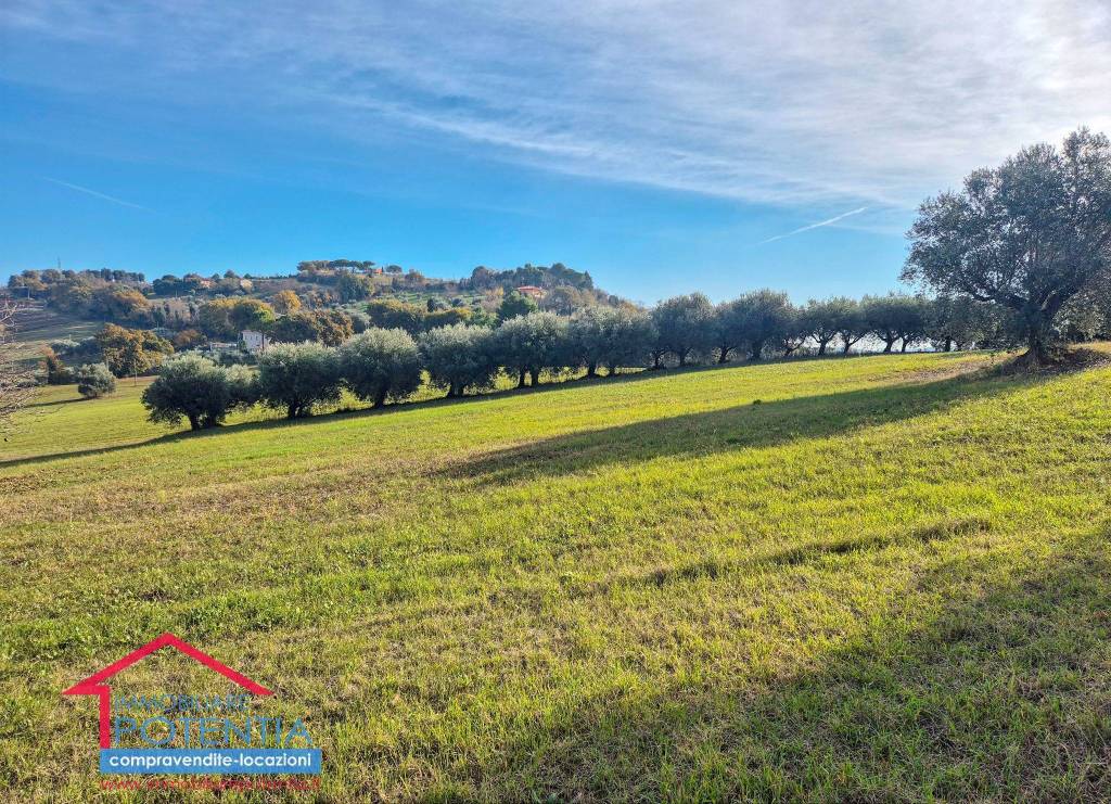 immagine annuncio 4 di 8