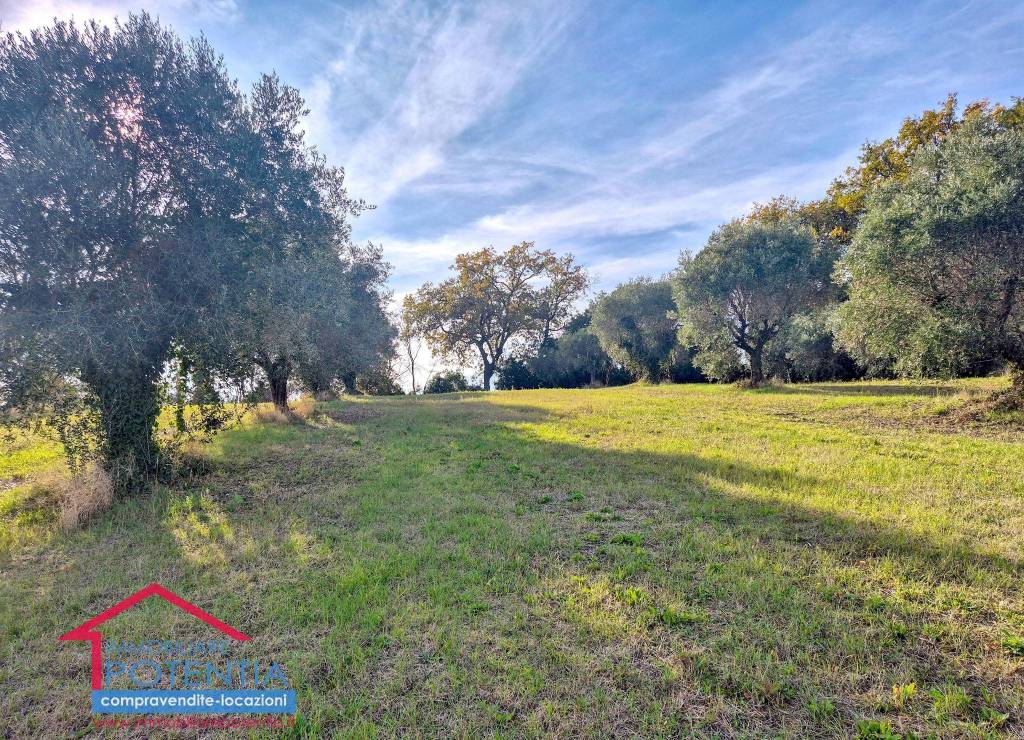 immagine annuncio 6 di 8