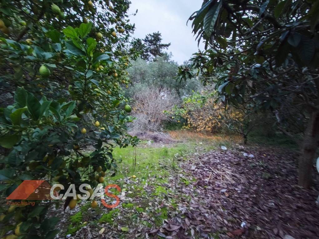 immagine annuncio 9 di 13