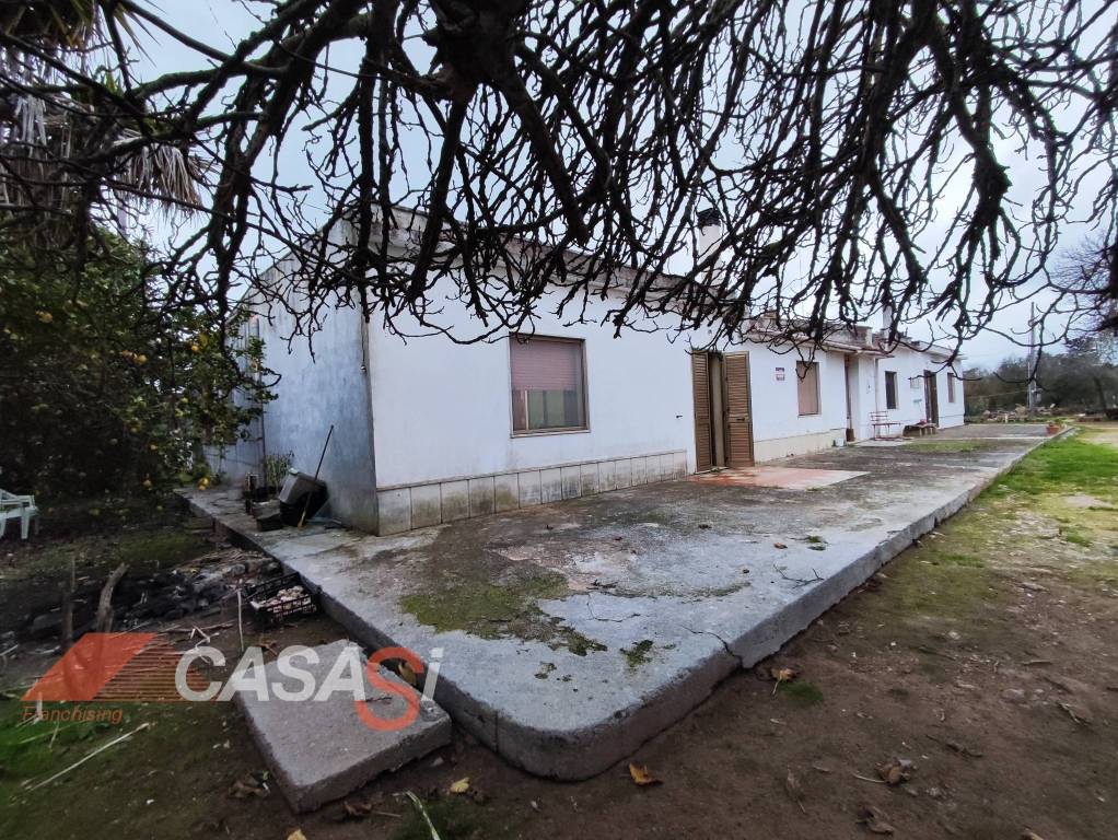 immagine annuncio 10 di 13