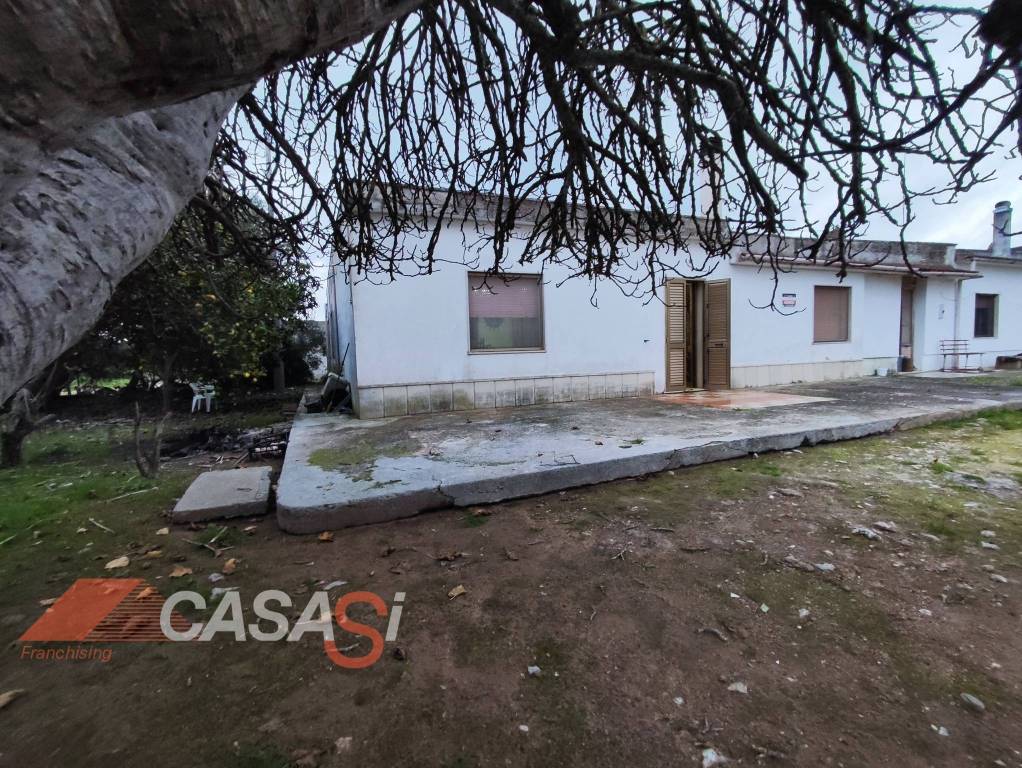 immagine annuncio 12 di 13