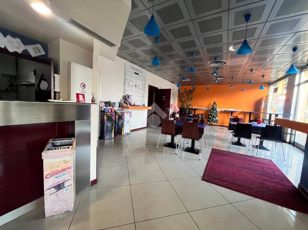 immagine annuncio 9 di 15