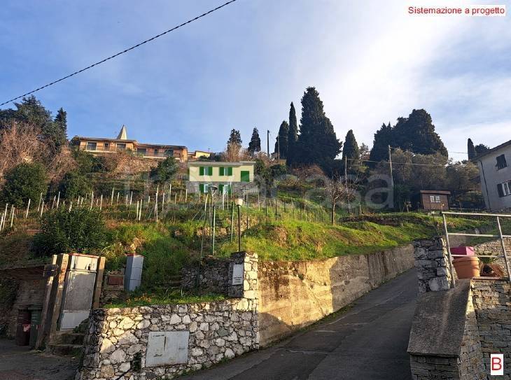 immagine annuncio 5 di 6