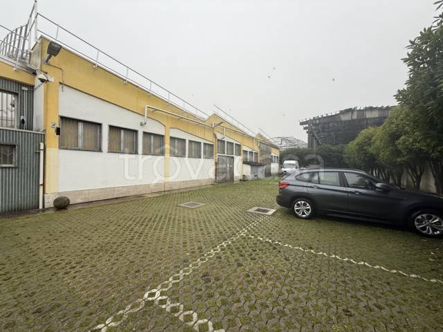 immagine annuncio 6 di 15