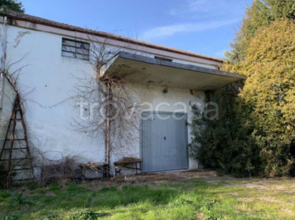 immagine annuncio 3 di 11