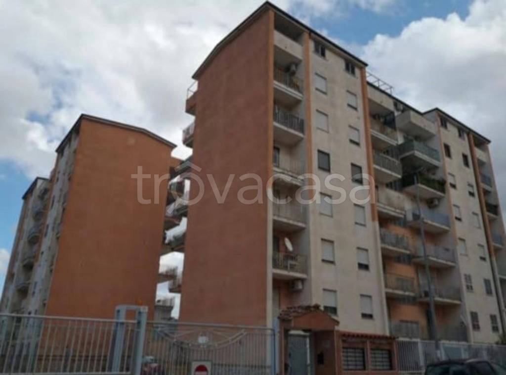 immagine annuncio 3 di 12