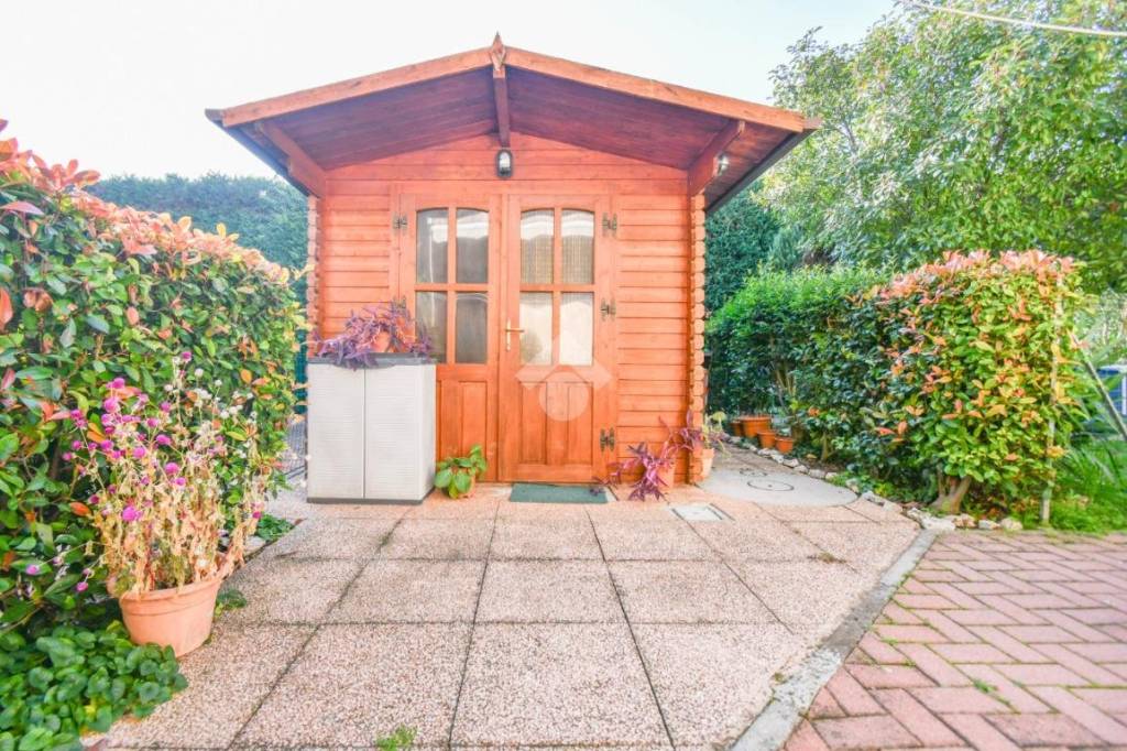 immagine annuncio 3 di 15