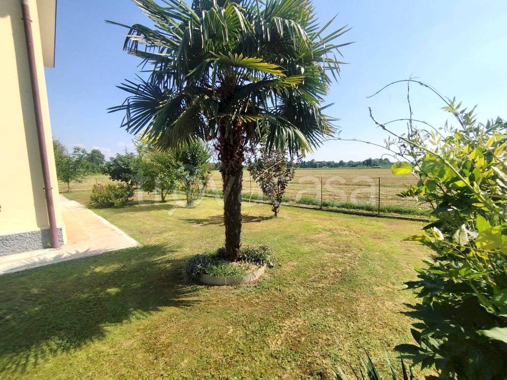 immagine annuncio 5 di 11