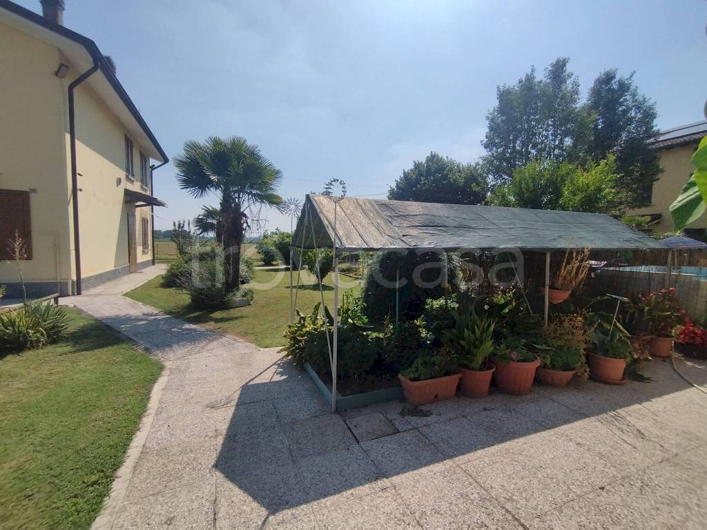 immagine annuncio 9 di 11