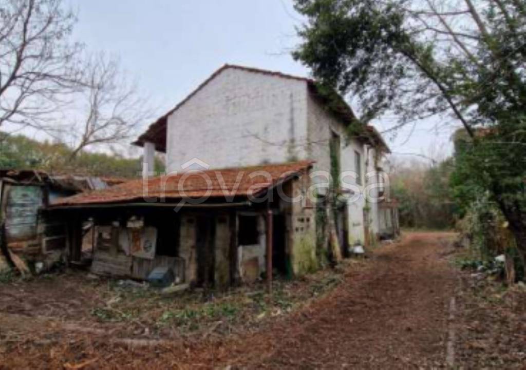 immagine annuncio 4 di 11