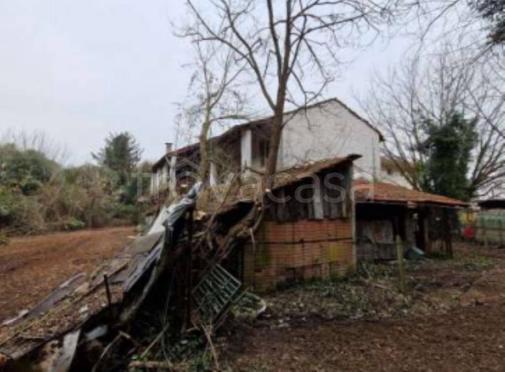 immagine annuncio 3 di 11