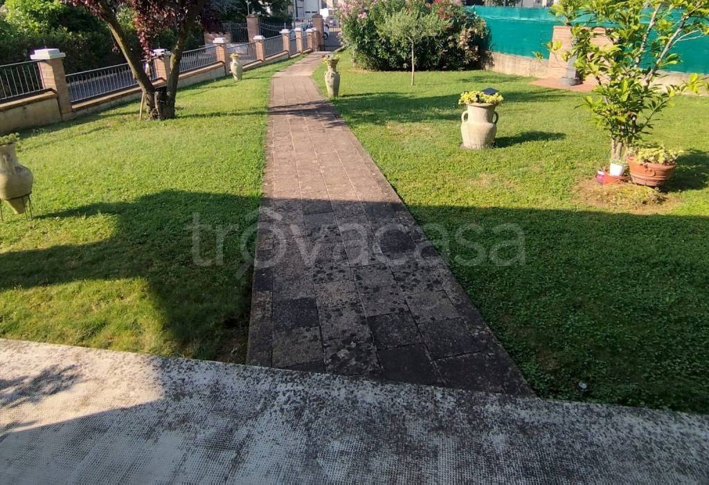 immagine annuncio 9 di 14