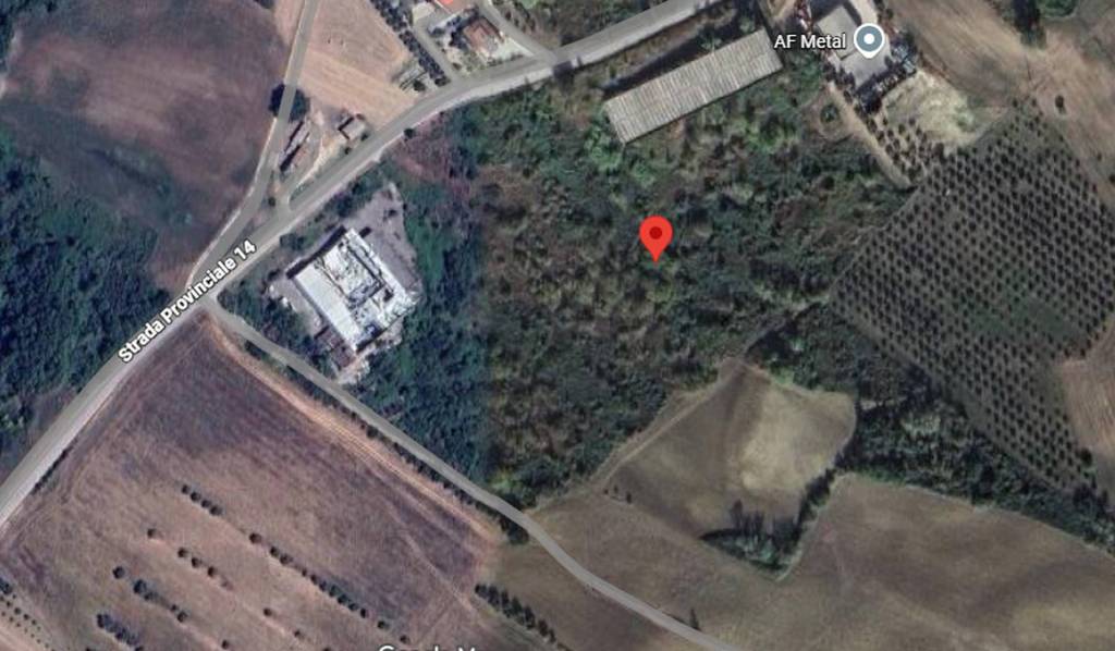 immagine annuncio 4 di 11