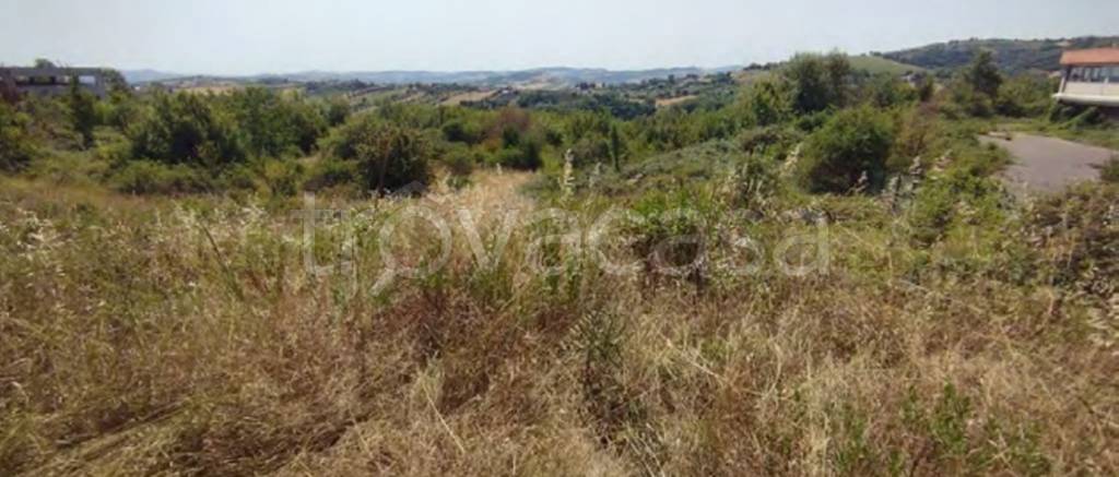 immagine annuncio 6 di 11