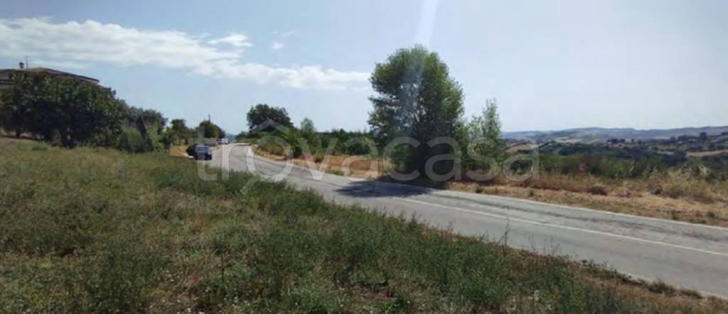 immagine annuncio 7 di 11