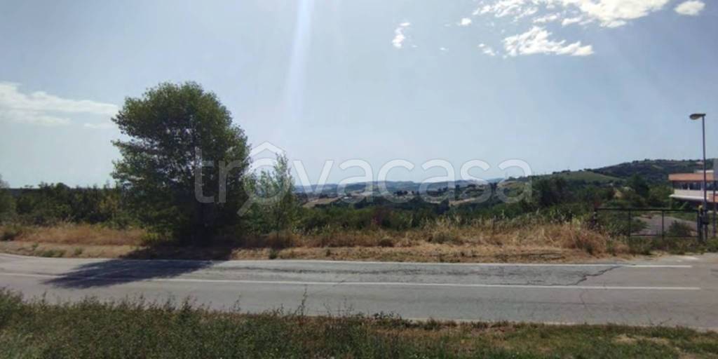 immagine annuncio 10 di 11