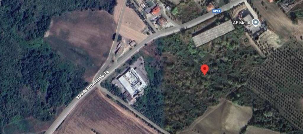 immagine annuncio 2 di 12