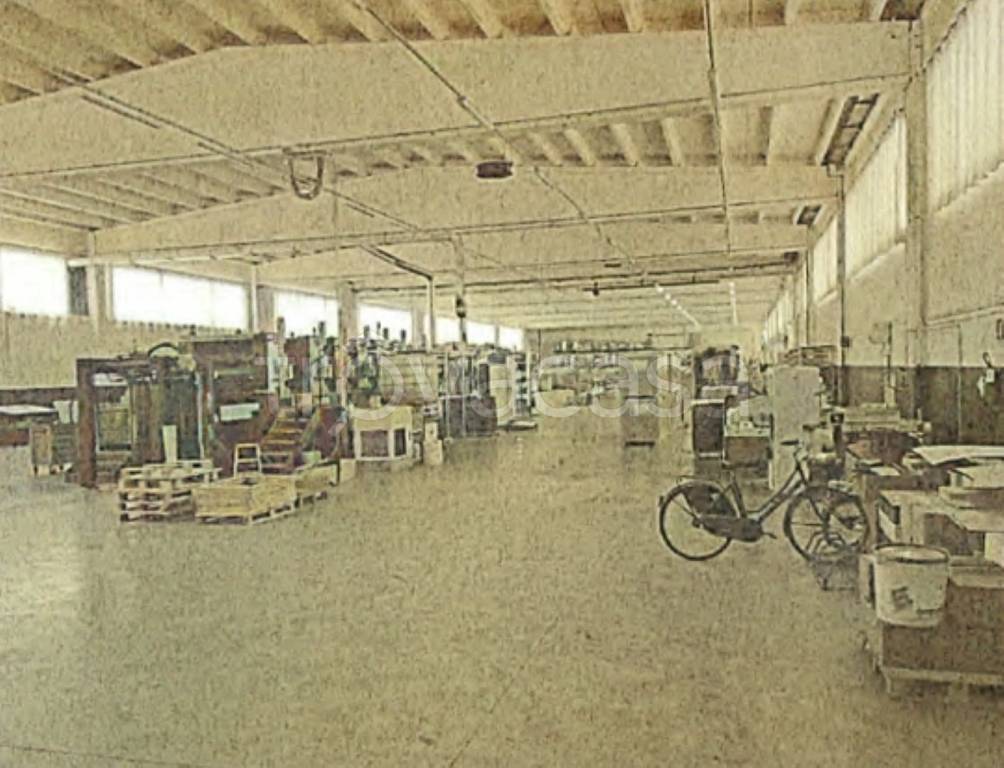 immagine annuncio 2 di 11