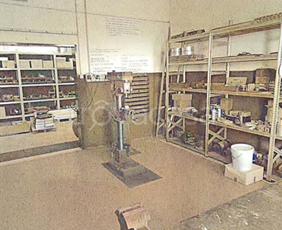 immagine annuncio 3 di 11