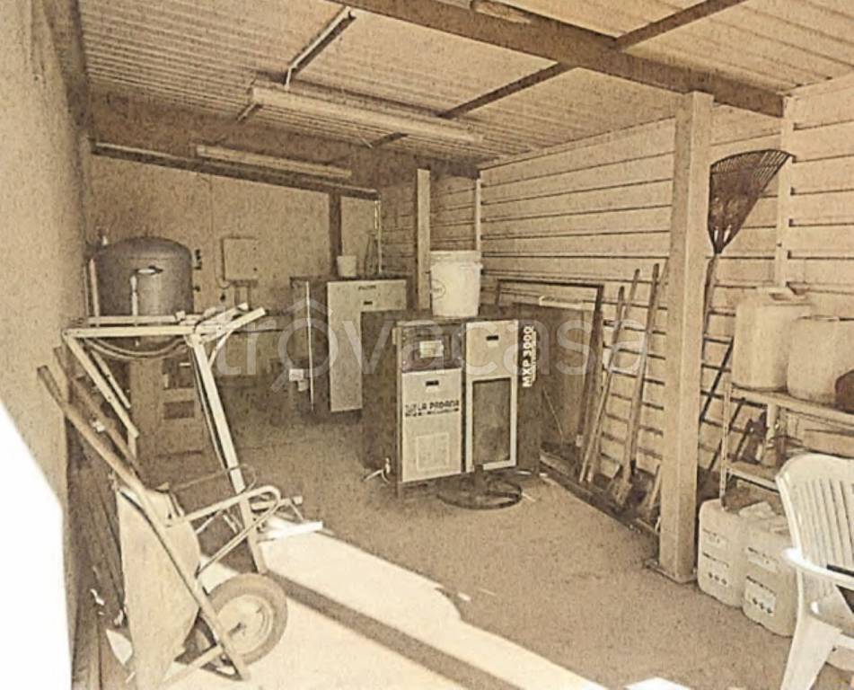 immagine annuncio 6 di 11