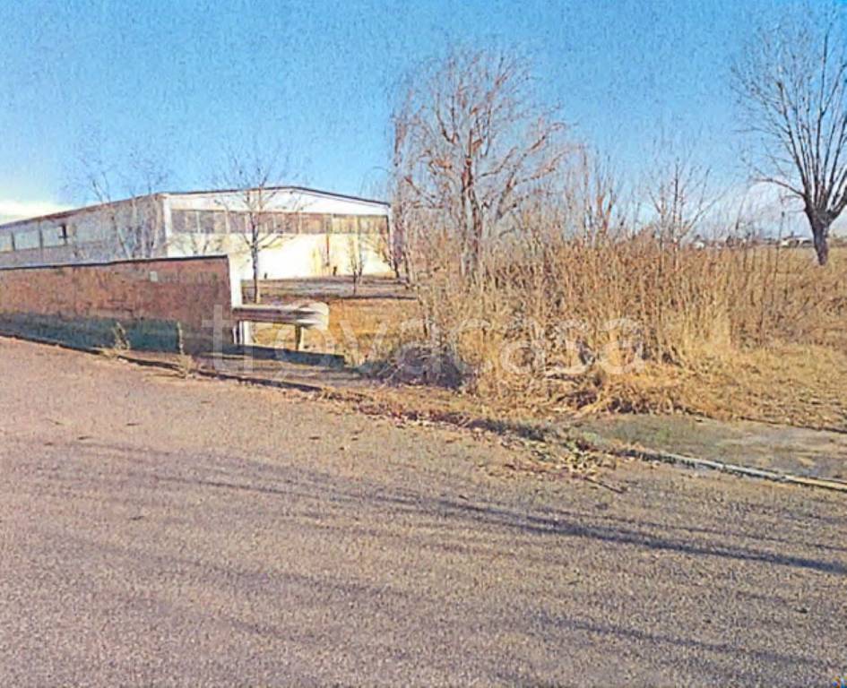 immagine annuncio 10 di 11