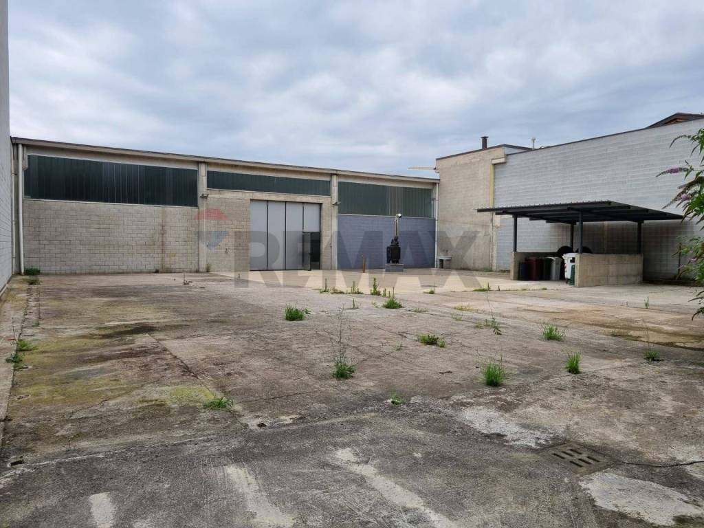 immagine annuncio 2 di 12