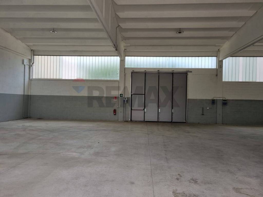 immagine annuncio 3 di 12