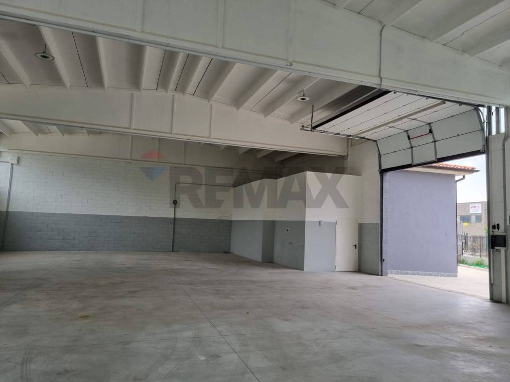 immagine annuncio 4 di 12