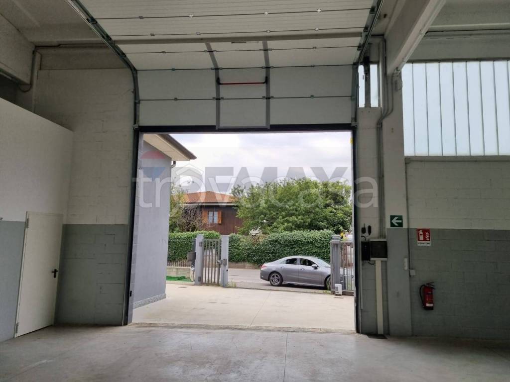 immagine annuncio 8 di 12