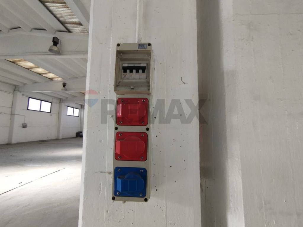 immagine annuncio 12 di 15